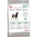 ROYAL CANIN Dry Mini Digestive Care for small dogs 1 kg - Buy Online on GoSupps.com