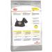 ROYAL CANIN Dry Mini Dermacomfort for small dogs 1 kg - Buy Online on GoSupps.com
