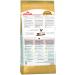 ROYAL CANIN Dry Siamese food for Siamese cats 2 kg - Buy Online on GoSupps.com