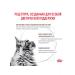 ROYAL CANIN Dry gastrointestinal feed for cats gastrointestinal 2 kg - Buy Online on GoSupps.com