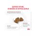 ROYAL CANIN Dry gastrointestinal feed for cats gastrointestinal 2 kg - Buy Online on GoSupps.com
