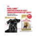 ROYAL CANIN Dry Miniature Schnauzer Adult Form Schnauzer Dog 3 kg - Buy Online on GoSupps.com