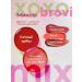 Eyebrows Permanent Makeup Pigment for the Brovi Lip Permanent Juicy watermelon 15 ml - Buy Online on GoSupps.com