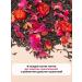 THEATASTY Sheet black tea with rose petals and cherry berries 200 g - Buy Online on GoSupps.com