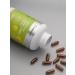 Vitaminum Lecithin Sunflower Natural Capsules 2000 mg 120 pcs - Buy Online on GoSupps.com