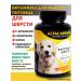 Altai traditions Vitamins for dogs for wool and skin