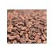 Cacao Pepa de Oro Cocoa-bobs fried Arriba Nacional Ecuador 500g - Buy Online on GoSupps.com