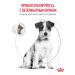 ROYAL CANIN Dry food for dogs of small breeds GastroinTestinal 1 kg - Buy Online on GoSupps.com