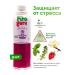 Fitoguru Juice set of phytogur Relax mint strawberries 9 pcs 330 ml