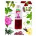 Fitoguru Juice set of phytogur Relax mint strawberries 9 pcs 330 ml - Buy Online on GoSupps.com