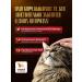 SECRET FOR PETS Urinary food for treatment with ICD with lamb 85 g x 24 pcs - Buy Online on GoSupps.com