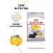 Royal Canin Dry food for dogs of small breeds Dermacomfort 3 kg - Buy Online on GoSupps.com