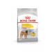 Royal Canin Dry food for dogs of medium breeds Dermacomfort 10 kg - Buy Online on GoSupps.com
