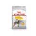 Royal Canin Dry food for dogs of large breeds Dermacomfort 10 kg - Buy Online on GoSupps.com