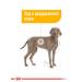 Royal Canin Dry food for dogs of large breeds Dermacomfort 10 kg - Buy Online on GoSupps.com