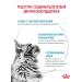 Royal Canin Dry Therapeutic food for cats Skin & Coat 3.5 kg - Buy Online on GoSupps.com