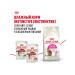 ROYAL CANIN Dry food Savour Exigent for fastidious cats 0.4 kg 2pcs - Buy Online on GoSupps.com