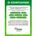 Pharmgroup Artish Extract in Capsules No. 30 Hofit Forte - Buy Online on GoSupps.com
