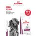 ROYAL CANIN Dry food for dogs to maintain renal 2 kg