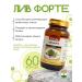SolarLife Detox and protection for the liver