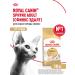 Royal Canin Dry food for cats sphinx ADULT 10 kg