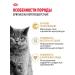 Royal Canin Dry food for British cats British Adult 400 g - Buy Online on GoSupps.com