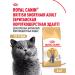 ROYAL CANIN Dry food for British cats British Adult 4 kg