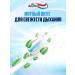 Aquafresh Toothpaste All-in-One Protection 75 ml 2 pcs - Buy Online on GoSupps.com