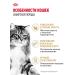 Royal Canin Dry food for Siberian cats Adult 400 g - Buy Online on GoSupps.com