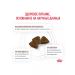 ROYAL CANIN Dry food for kittens 2-10 months for digestion - 2 kg - Buy Online on GoSupps.com