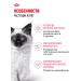 ROYAL CANIN Dry food for kittens from 4 to 12 months Kitten 2 kg - Buy Online on GoSupps.com