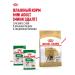 Royal Canin Dry food for dogs of breed French bulldog 3 kg - Buy Online on GoSupps.com