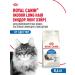 Royal Canin Dry food for long -haired cats Indoor Long Hair 400 g