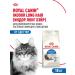 Royal Canin Dry food for long -haired cats Indoor Long Hair 10 kg