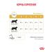 Royal Canin Dry food for cats Urinary S o Moderate Therapeutic 7 kg - Buy Online on GoSupps.com