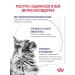ROYAL CANIN Dry food for sterilized cats Neuthed Satiety 300 g - Buy Online on GoSupps.com