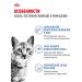 Royal Canin Dry food for cats living in the indoor 27 200 g - Buy Online on GoSupps.com