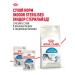 Royal Canin Dry food for cats living in the indoor 27 4 kg - Buy Online on GoSupps.com