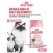 ROYAL CANIN Dry food for kittens Mother & Babycat 2 kg