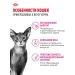 Royal Canin Dry food for fastidious cats Savour Exigent 400 g - Buy Online on GoSupps.com