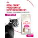 Royal Canin Dry food for fastidious cats Protein Exigent 10 kg