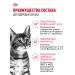 ROYAL CANIN Dry food for sterilized kittens Sterilated Kitten 2 kg - Buy Online on GoSupps.com