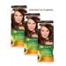Garnier Color Naturals 5 hair dye light chestnut 3 pieces - Buy Online on GoSupps.com