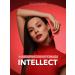 BELOR DESIGN Liquid matte lipstick Intellect tone 7 - Buy Online on GoSupps.com