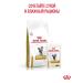 ROYAL CANIN Dry food for cats Urinary S o Therapeutic 1.5 kg - Buy Online on GoSupps.com