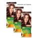 Garnier Color Naturals 5.23 Hair dyeing spacy 3 pieces - Buy Online on GoSupps.com