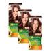 Garnier Color Naturals 5.23 Hair dyeing spacy 3 pieces - Buy Online on GoSupps.com