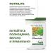 Protein Nutrilite Protein powder 450 g from Amway - Buy Online on GoSupps.com
