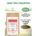 FitoContinent Gemorrhea collection herbal fees 100 g