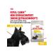 ROYAL CANIN Dry Mini Dermacomfort for small dogs 3 kg 2 pcs - Buy Online on GoSupps.com
